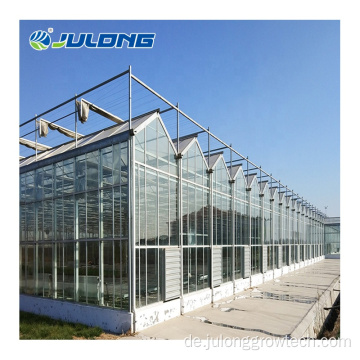 Glas Gewächshaus für Tomaten Hydroponic